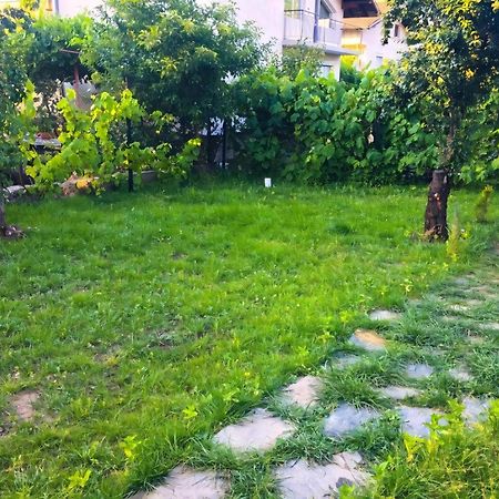 Alpin Guest House Sapareva Banya Exterior foto