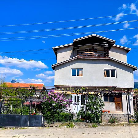 Alpin Guest House Sapareva Banya Exterior foto