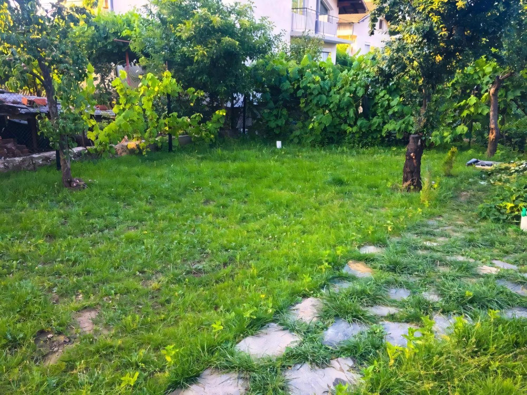 Alpin Guest House Sapareva Banya Exterior foto